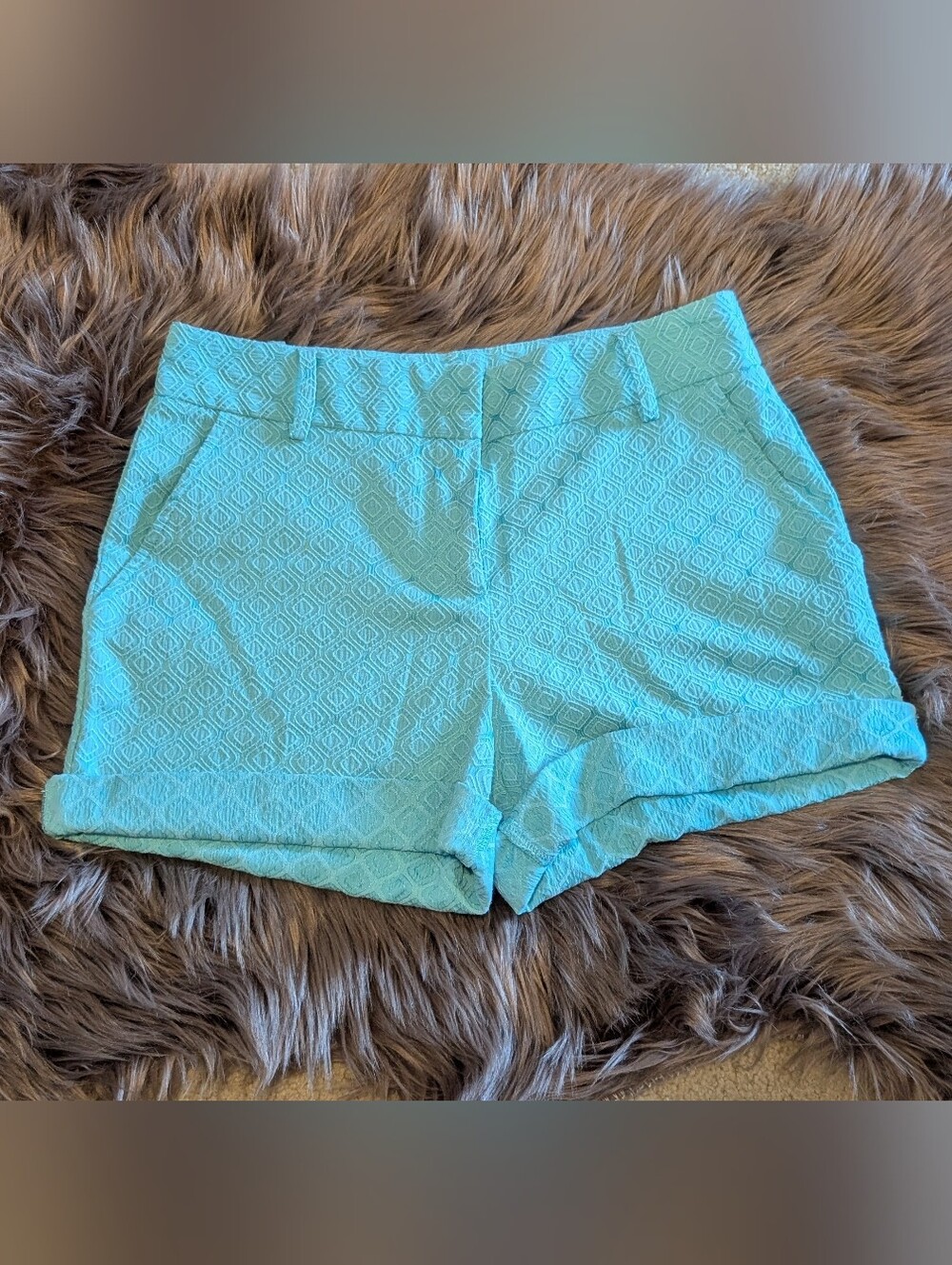 Market & Spruce Aqua Textured High-Waist Shorts Size S
